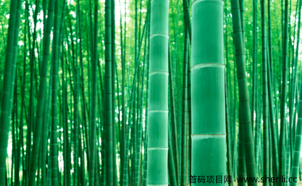 网站就是人生，坚持总会有阳光。