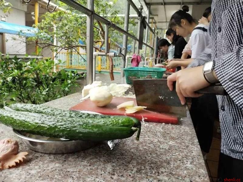 广东女职青马工程2019年春季培训班之户外拓展