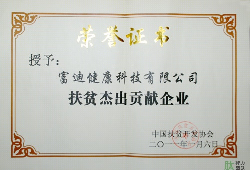富迪至尊国际的荣誉证书一览