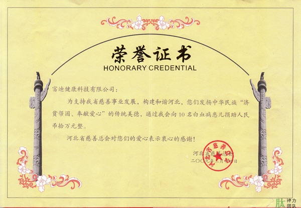 富迪至尊国际的荣誉证书一览