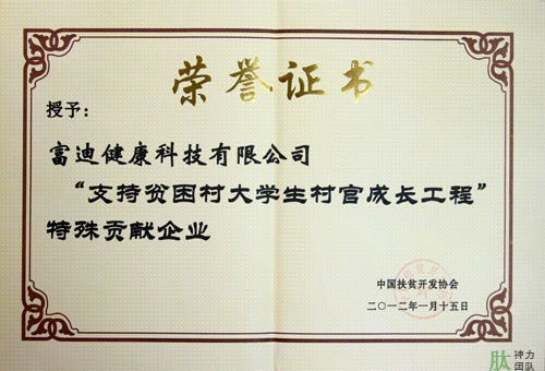 富迪至尊国际的荣誉证书一览